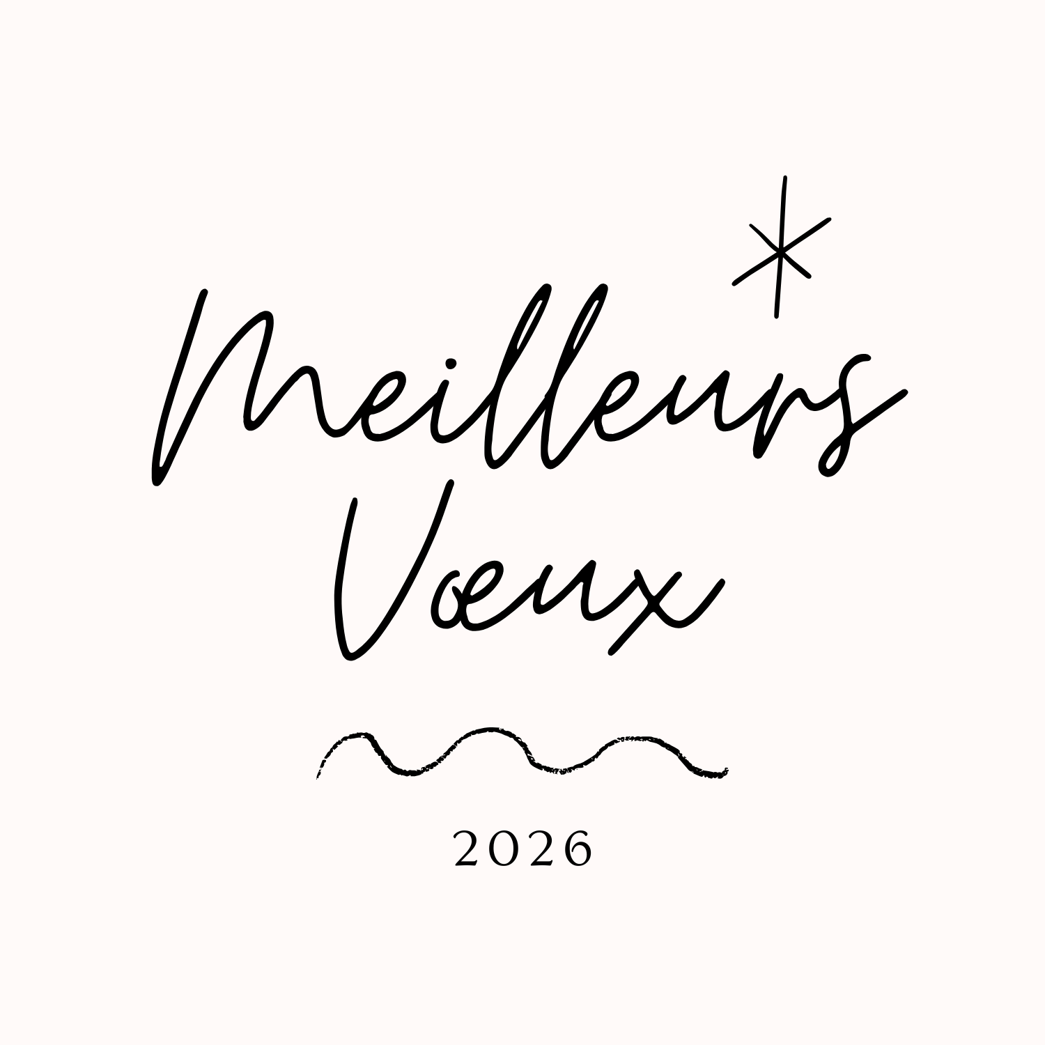 Meilleurs voeux 2026